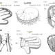 Illustration for article titled The Forgotten History of Baseballs Most Iconic Objects